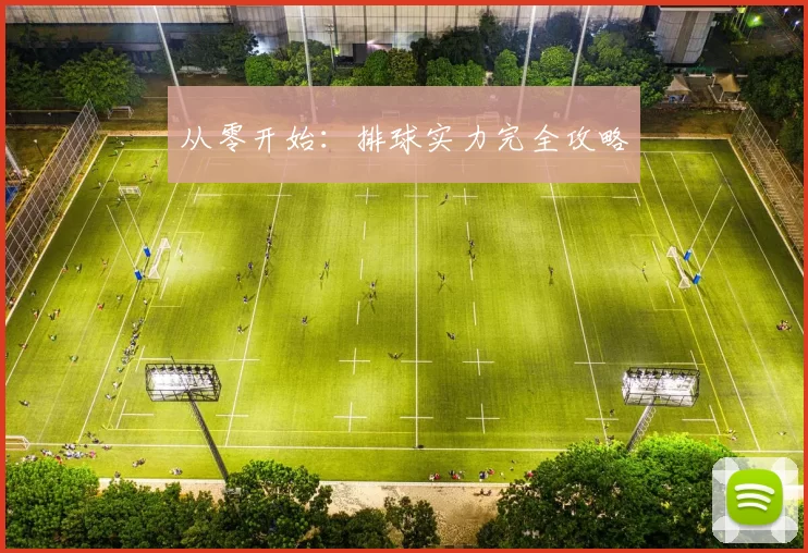 从零开始：排球实力完全攻略