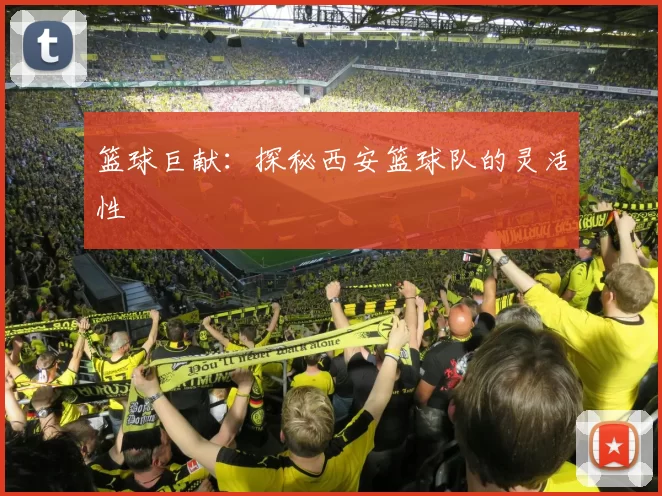 篮球巨献：探秘西安篮球队的灵活性