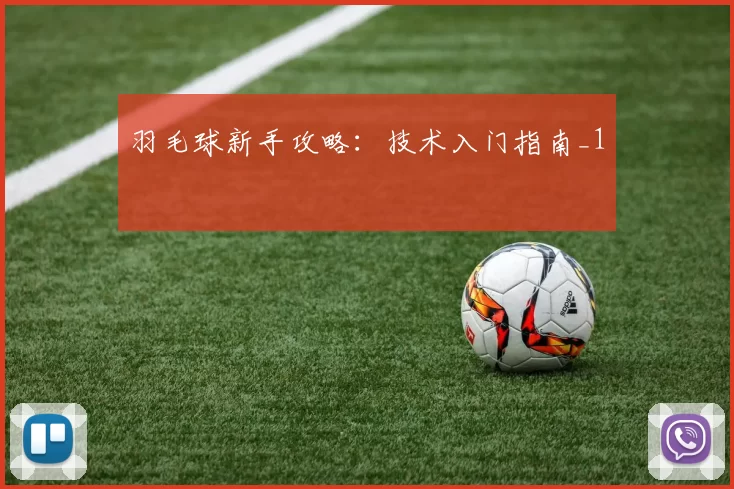 羽毛球新手攻略：技术入门指南_1