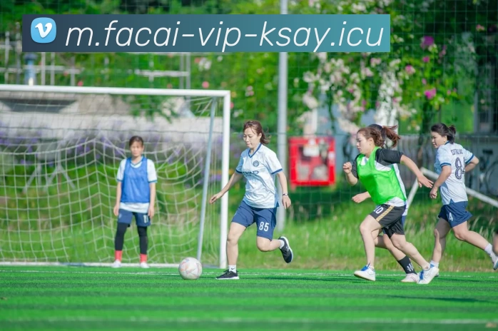 九游体育注册平台生态图